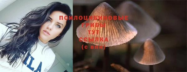 индика Алзамай