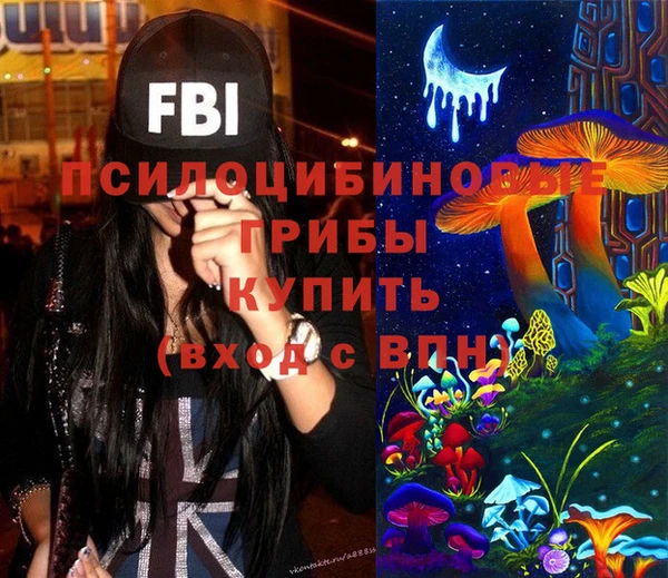индика Алзамай