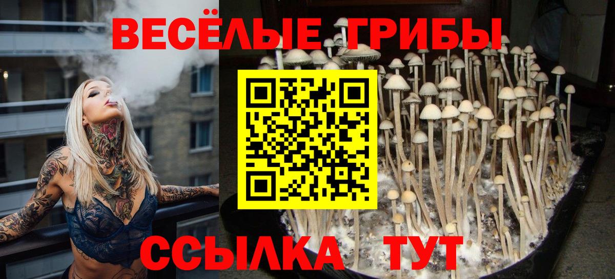 Псилоцибиновые грибы Magic Shrooms  Псилоцибиновые грибы Magic Shrooms  Вход с VPN  Татарск 